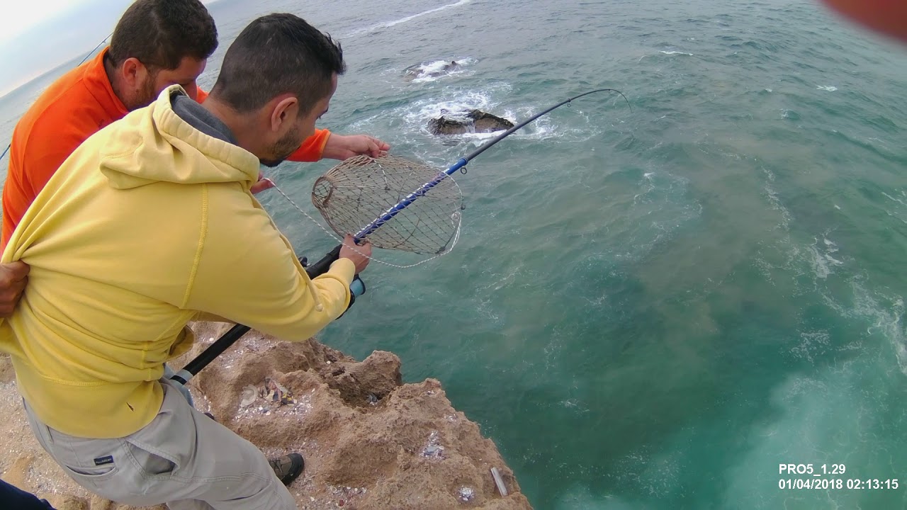 Pesca a dourada com rebeca
