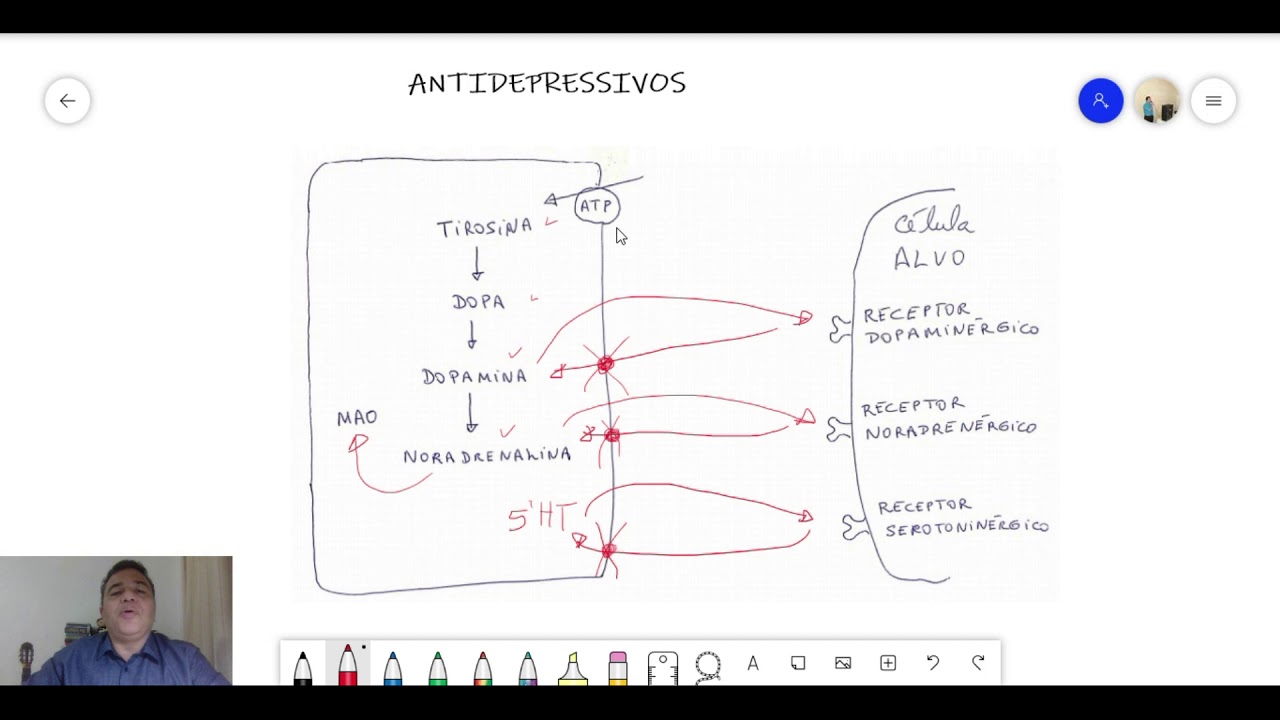 PRINCIPAIS ANTIDEPRESSIVOS