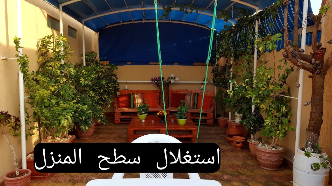 كيف تحول سطح منزلك إلى حديقة راقية، فيديو أكثر من رائع🌾🌱