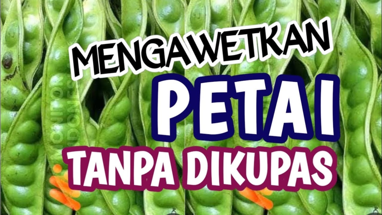 MENGAWETKAN PETAI TANPA DIKUPAS