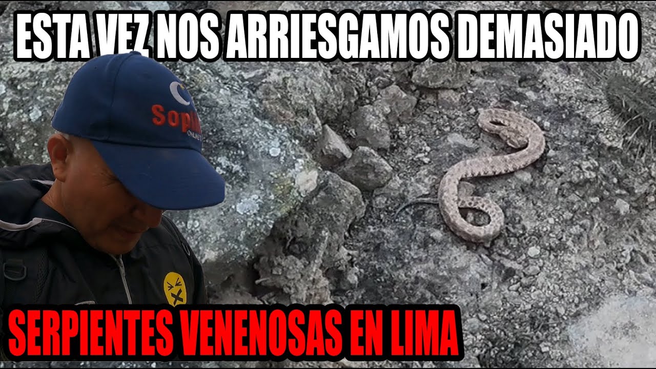 🔥 EL FAIL MÁS ÉPICO DE YOUTUBE (INCURSIÓN EXTREMA) | DILO NOMÁS