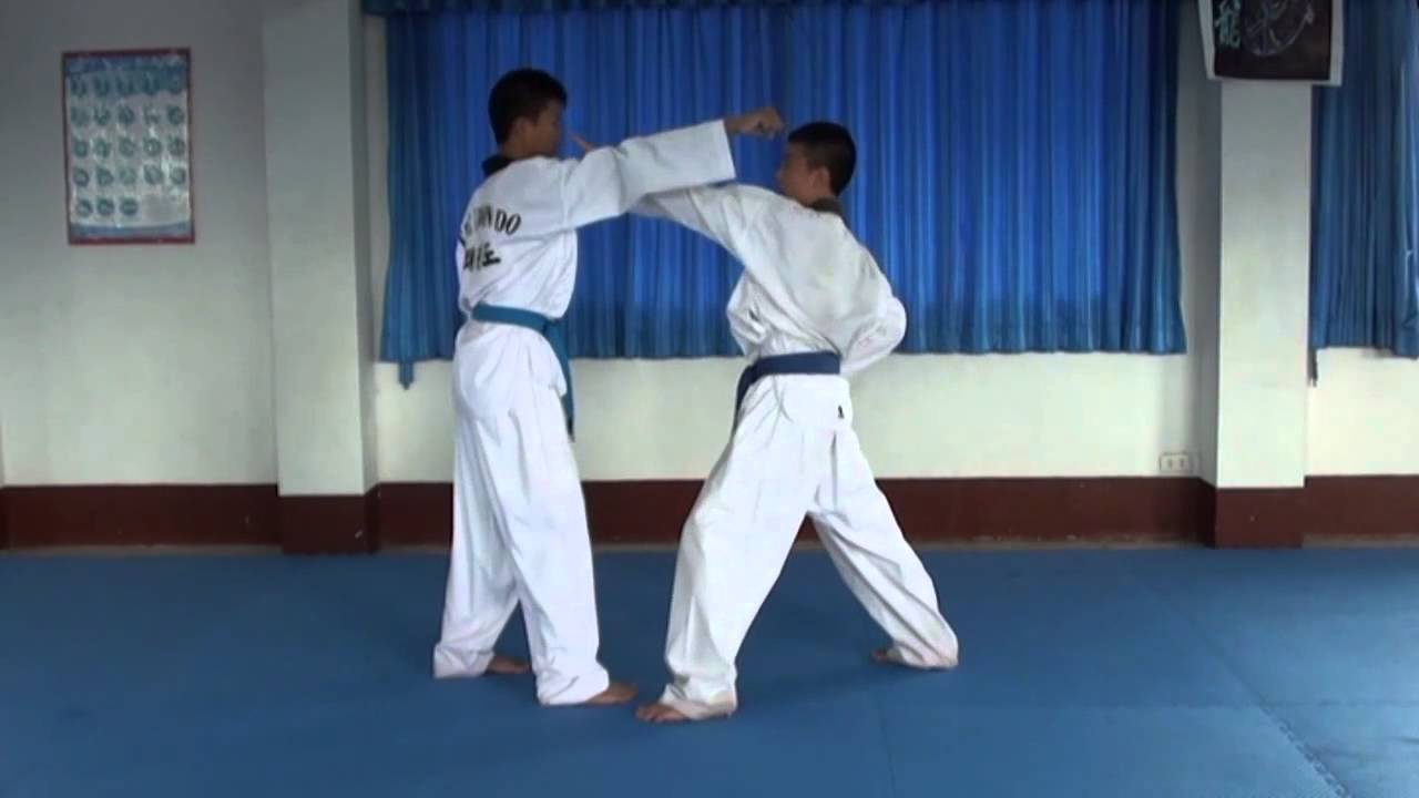 One Step Sparring 1 - 10
