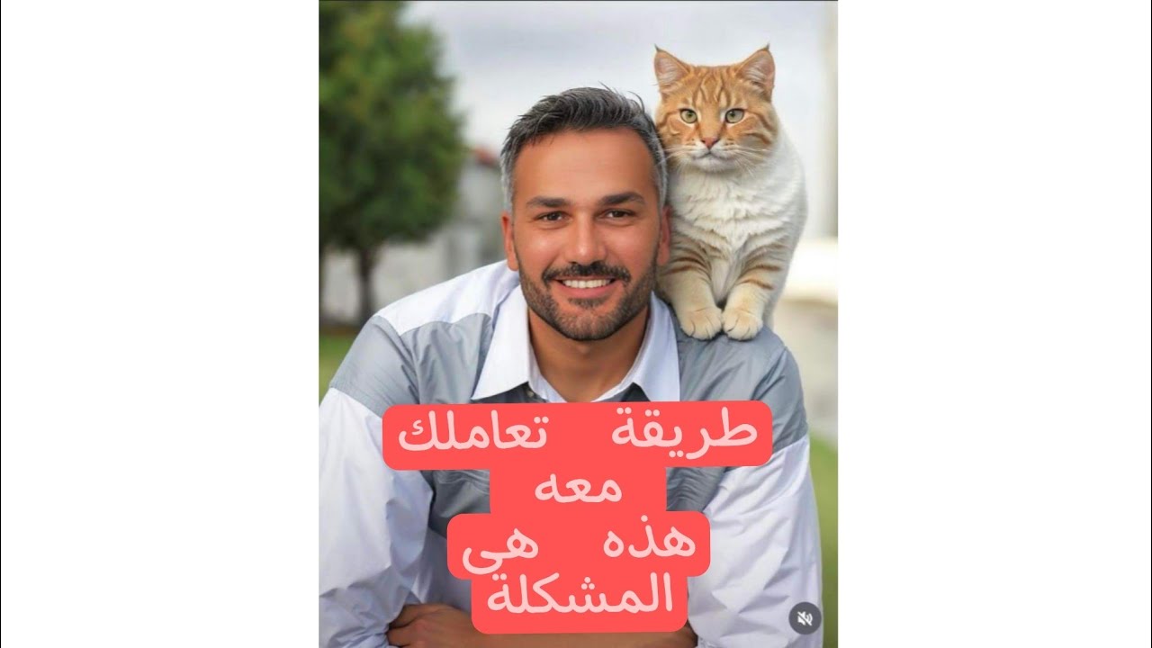 ازاى تتعاملى معاه افهمى طريقة المعاملة الصحيحة معه