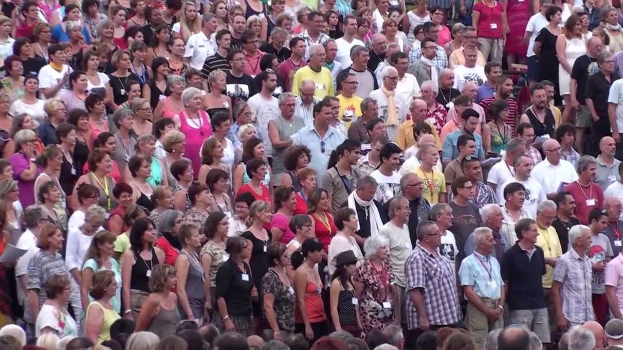 les fous chantants 2013   à nos actes manqués