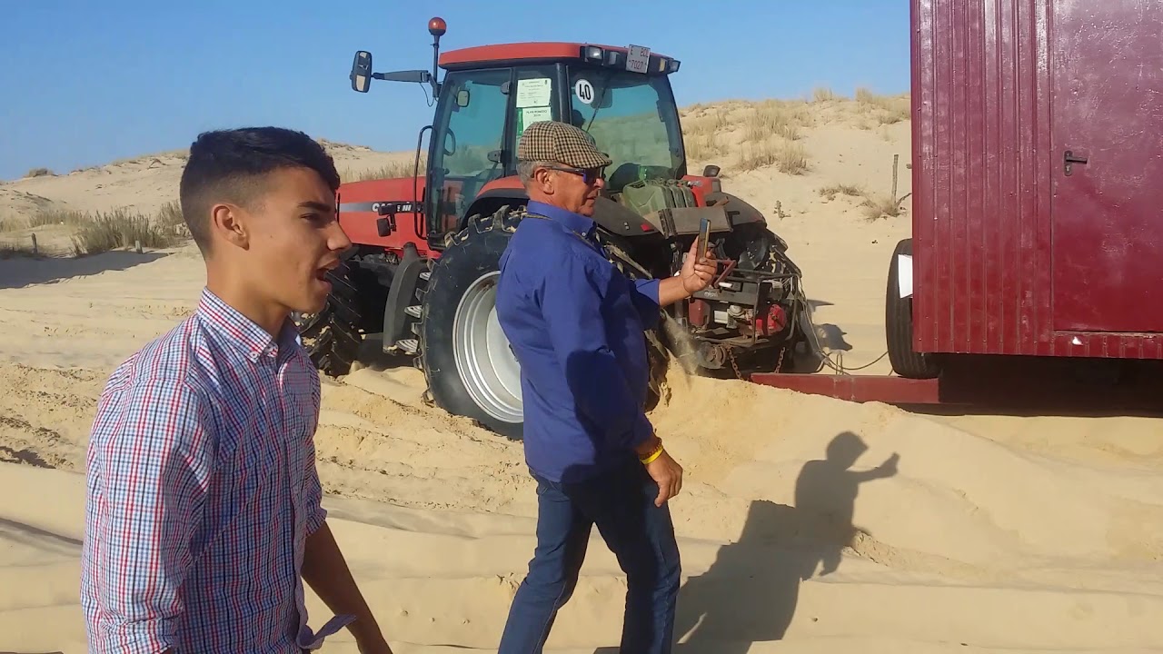 Rocio 2019