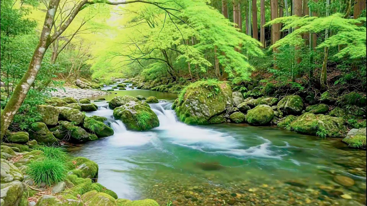 Calming River Sound for Deep Sleep | Natural Healing Ambience for Health and Peace
