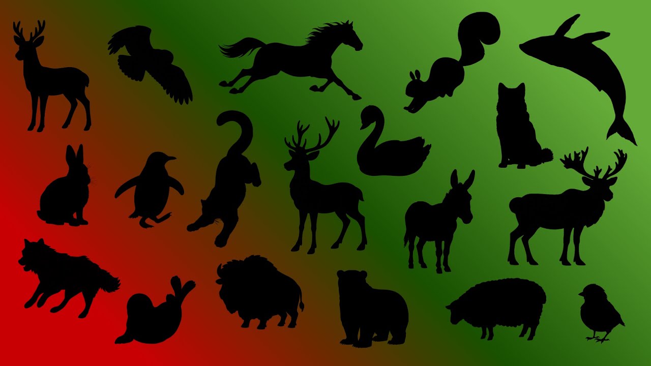 Adivinhe a Sombra Dos Animais! 🐋 Jogo Educativo para Crianças (Especial De Natal)