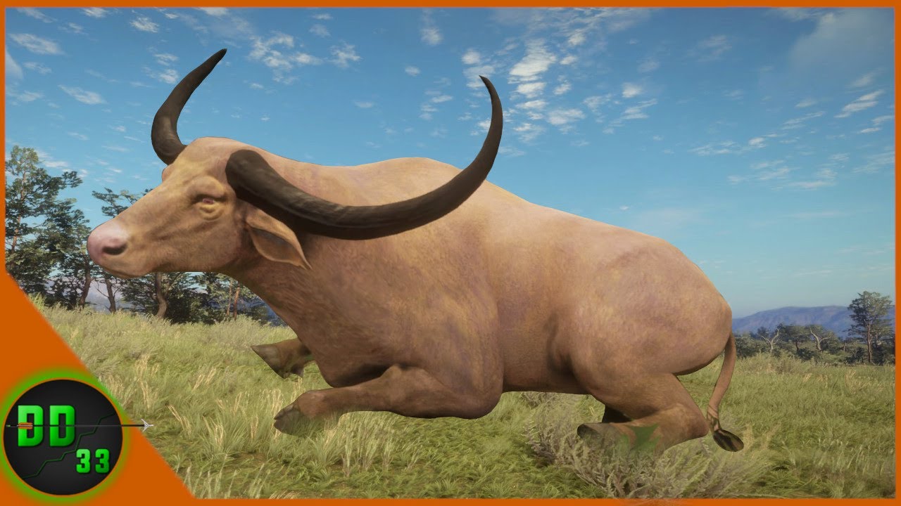 Huge RARE ALBINO WATER BUFFALO!! Call Of The Wild