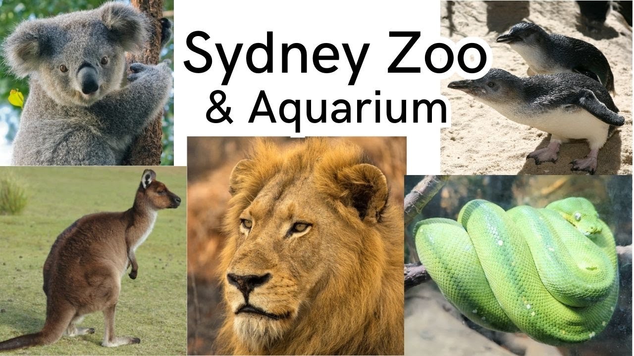 Sydney Zoo Australia, zoo and aquarium in Sydney