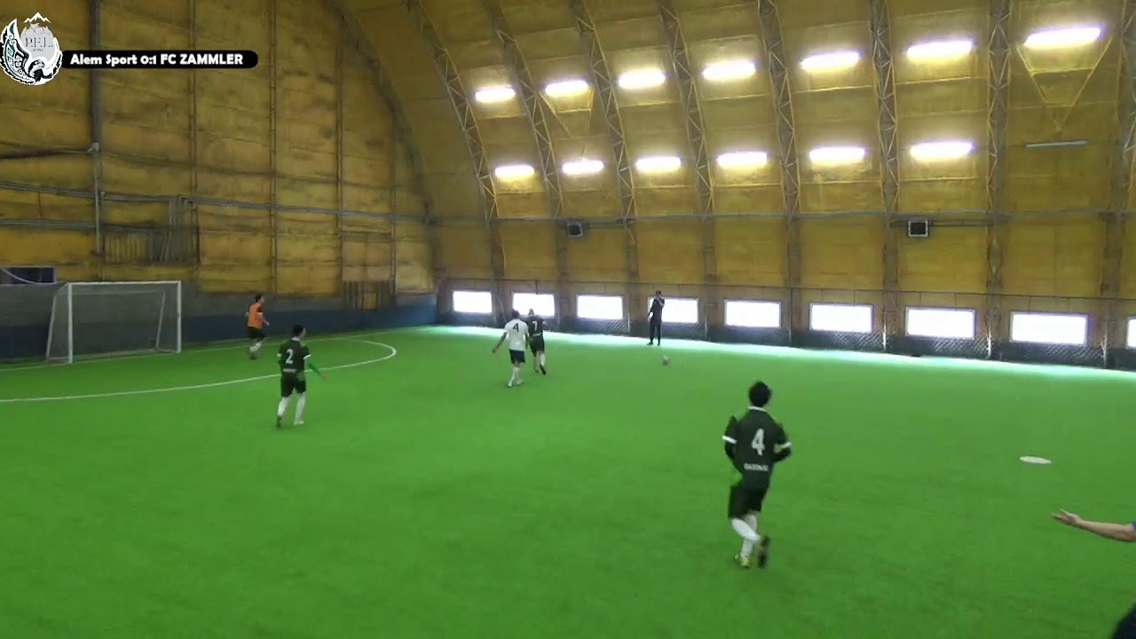 Alem Sport - FC ZAMMLER