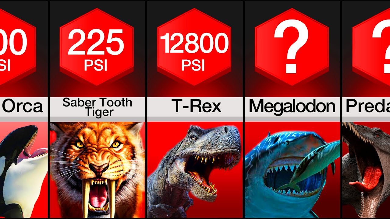 Comparison: Most Powerful Bites In History