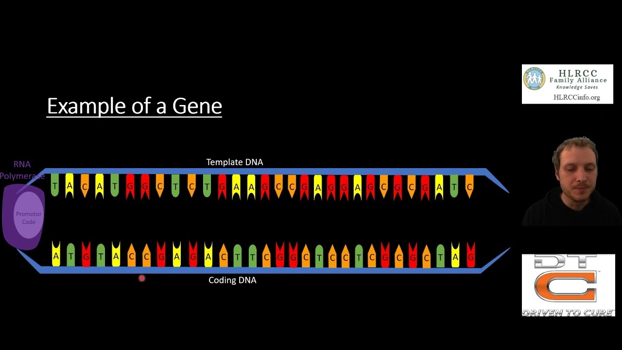 Understanding How Genes Code for Proteins - HLRCC Science Lecture #1