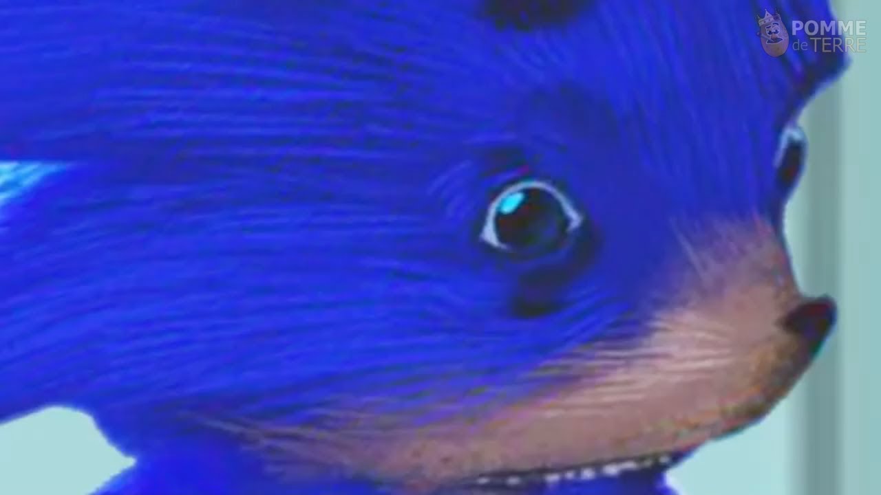 Sonic The Hedgehog Movie Meme Compilation (2018)