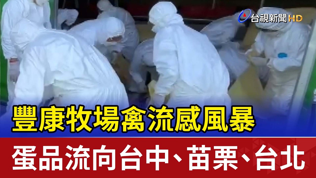 豐康牧場禽流感風暴 蛋品流向台中、苗栗、台北