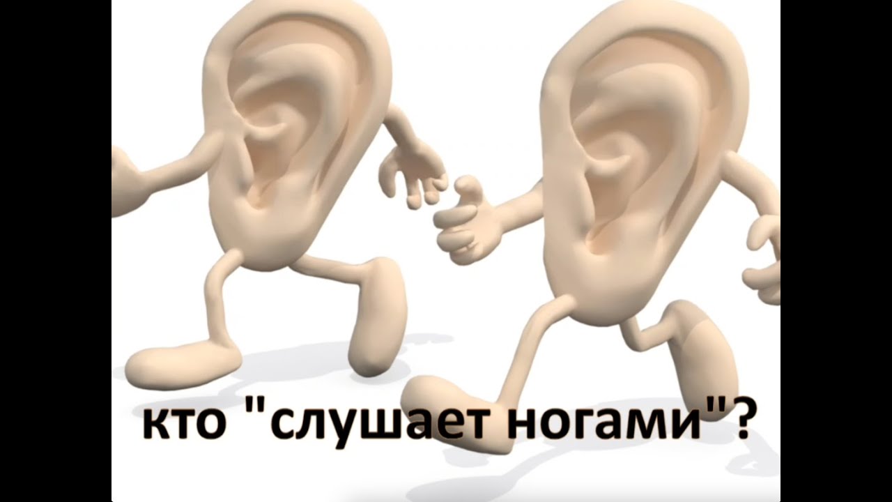 Интересный факт: 