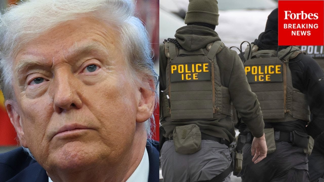 How Are Voters Feeling About President Trump's Immigration Policies? HarrisX Pollster Explains