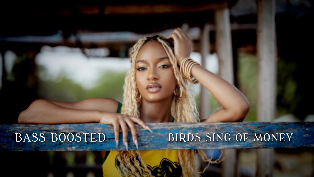 Ayra Starr - Birds Sing Of Money | Bass Boosted🔊 [Best Version]