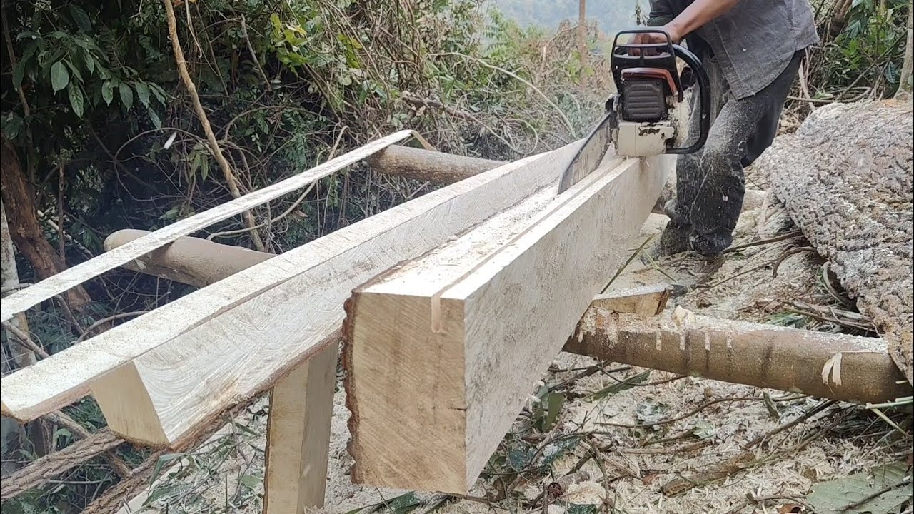 No measuring experience cutting skills Using Stihl ms382 chainsaw