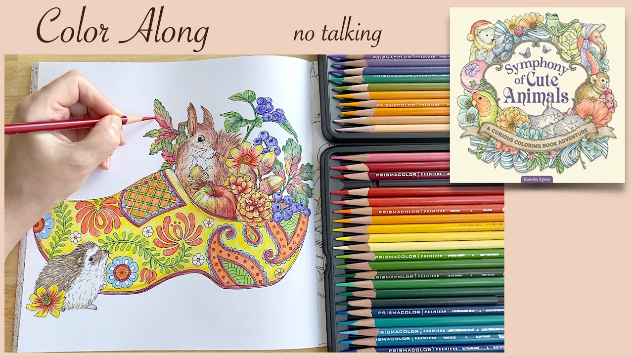 🌻 Calming Stress Relief Coloring Along 
