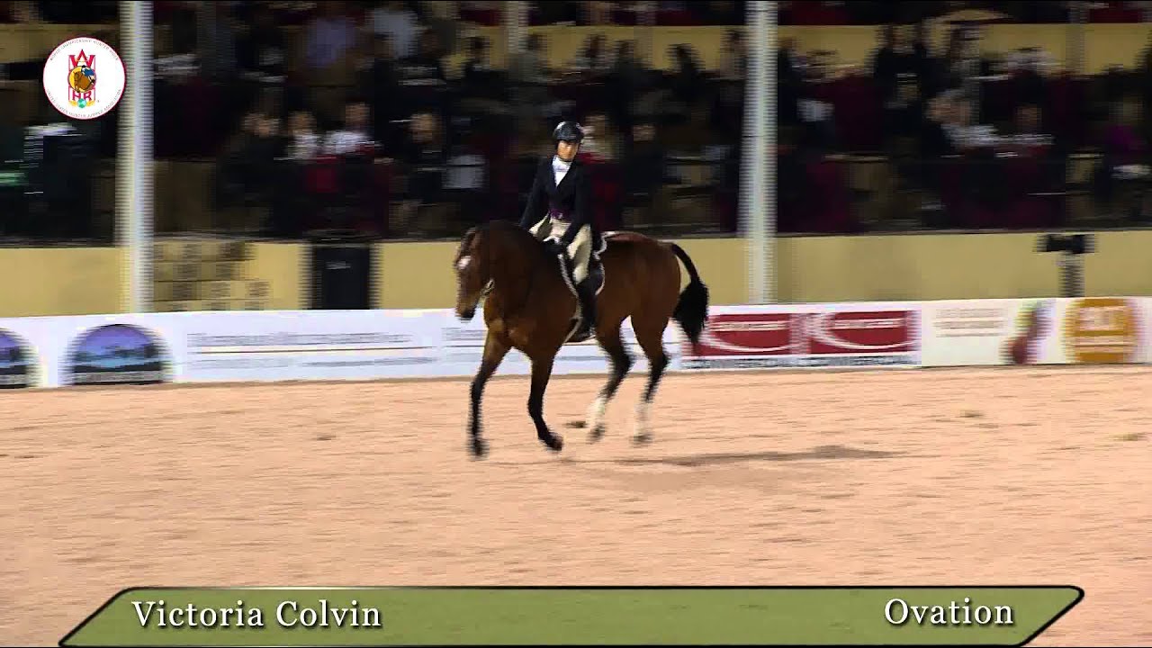 Winning Ride: Victoria Colvin and Ovation - WCHR Hunter Spectacular