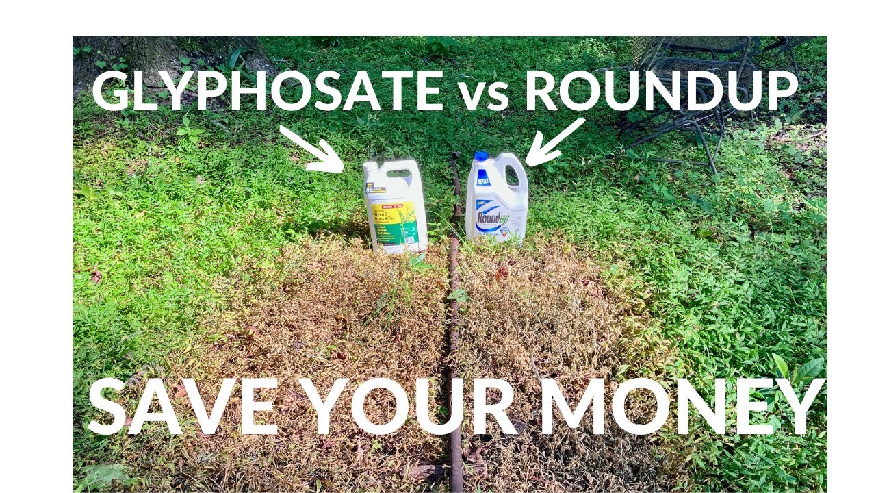 Roundup Vs Generic Glyphosate/Cost and One Week Results