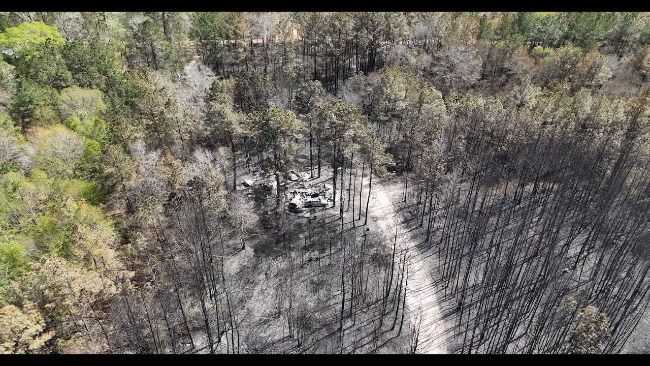 Pauline Road Forest Fire, San Jacinto County, Texas, March, 2025