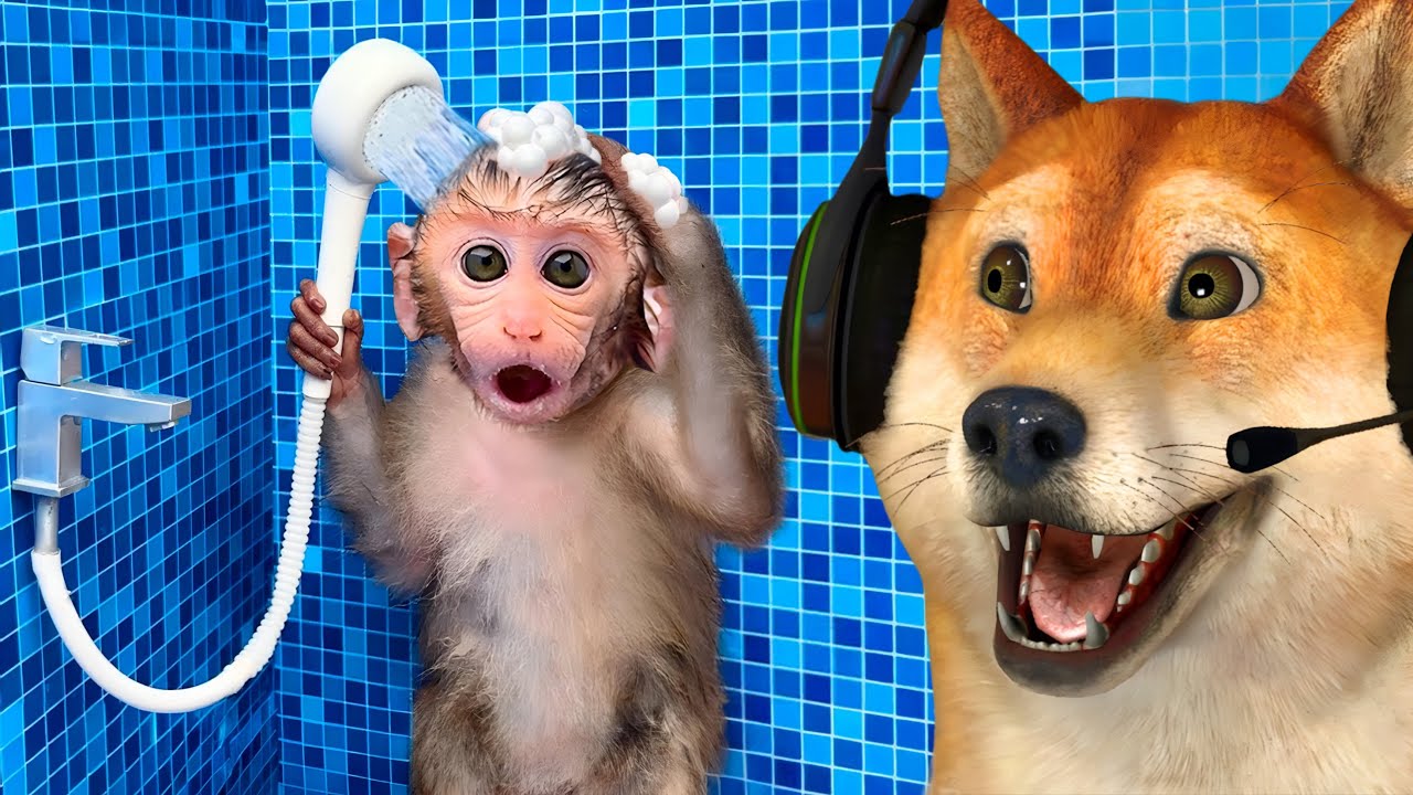 MACAQUINHOS FOFOS ENGRAÇADOS - TENTE NÃO RIR