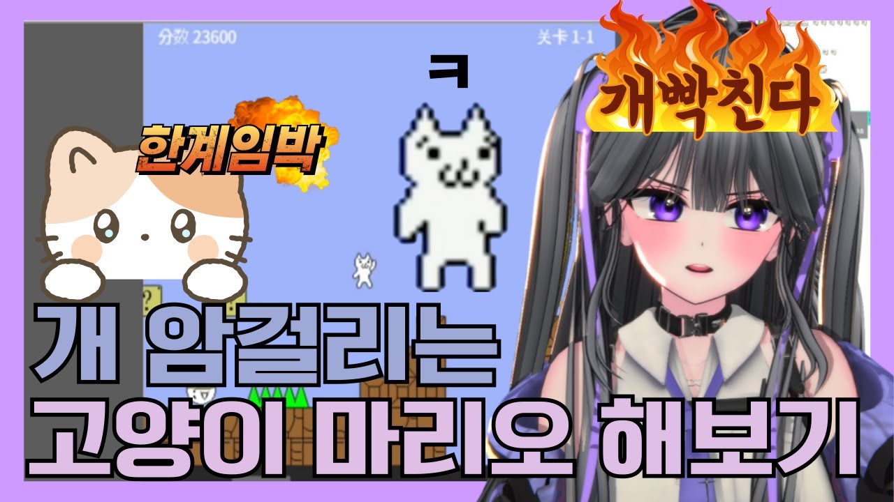 암걸리는 고양이마리오 플레이 해보기