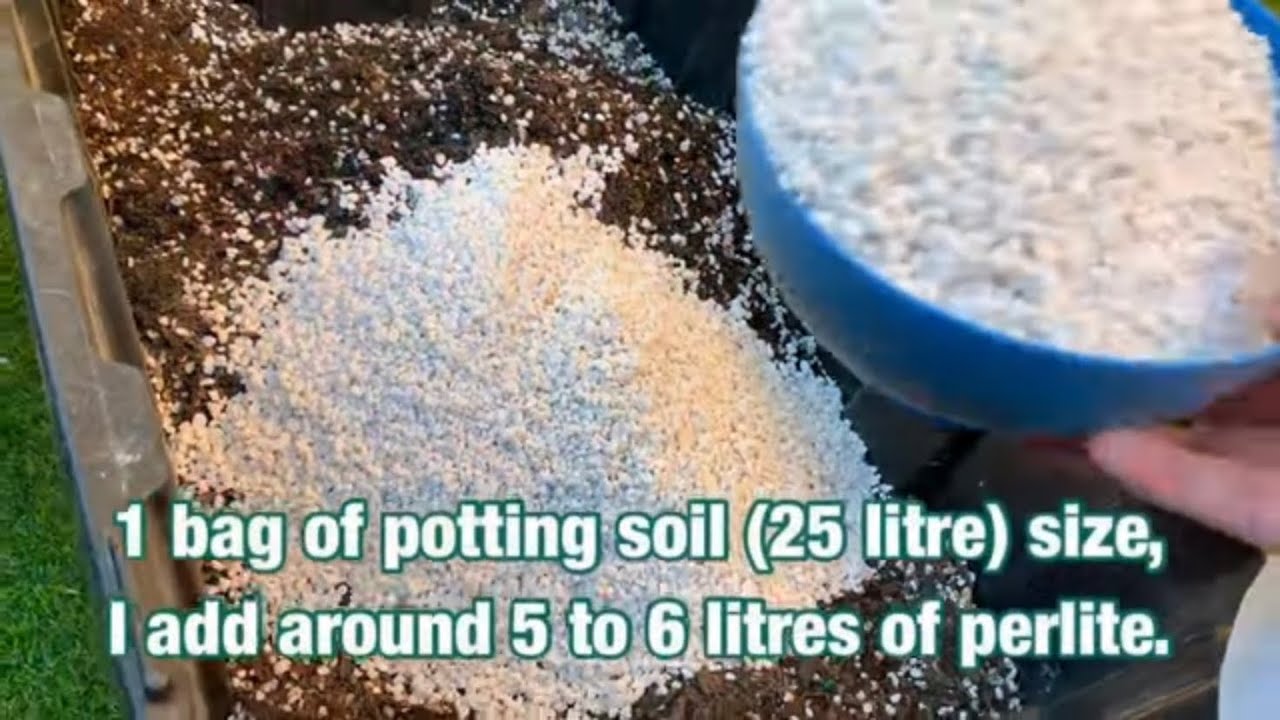 Succulents and Cacti Potting Soil Mix
