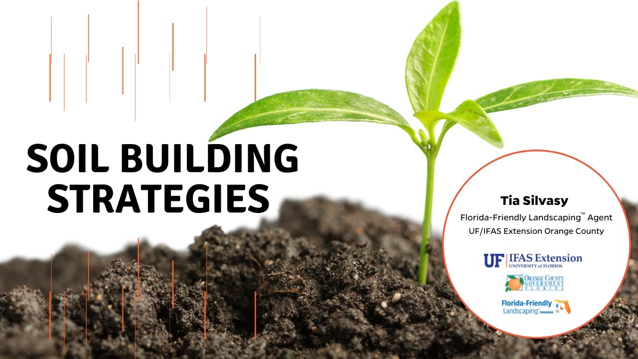 Florida Soil Building Strategies