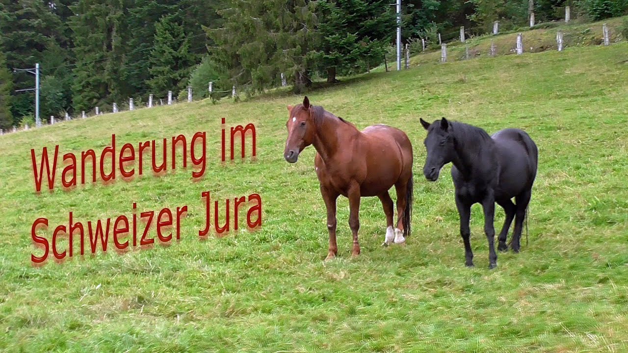 Schweiz 2019 - Tag 22: Wanderung im Schweizer Jura - Von Pré Petitjean nach Bollement