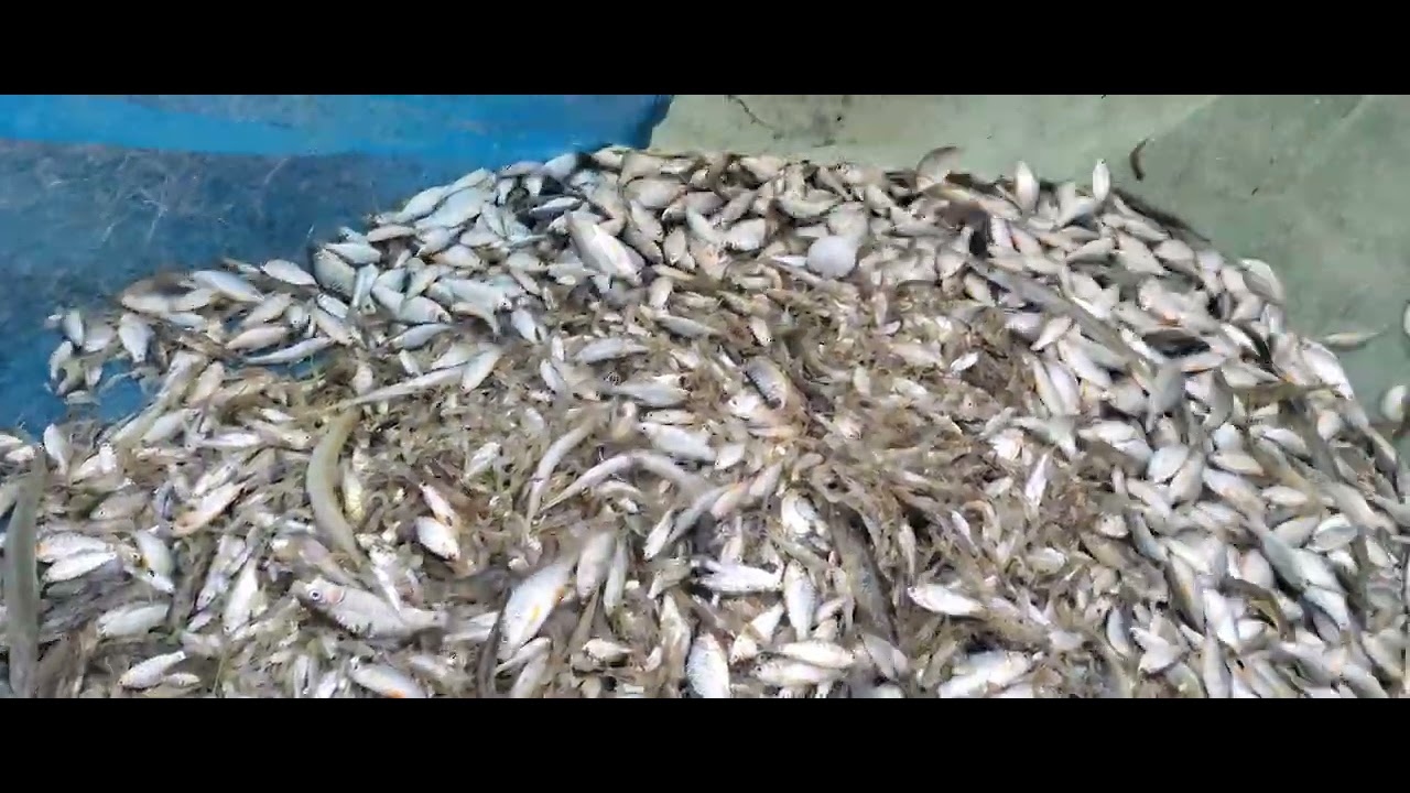 dudpatil itkola.fishing time