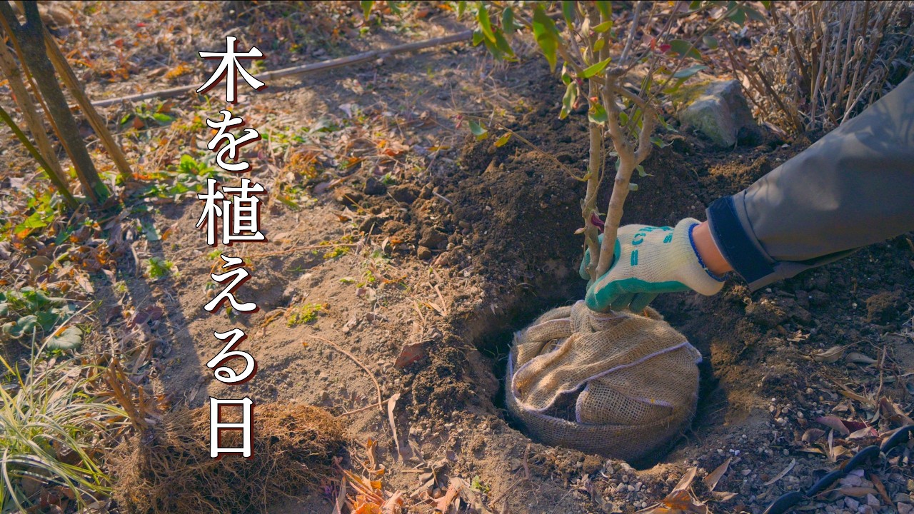 カフェに木を植える日　冬の庭仕事