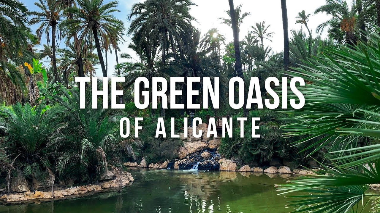 🌴 A HIDDEN GEM OF ALICANTE - El Palmeral Park