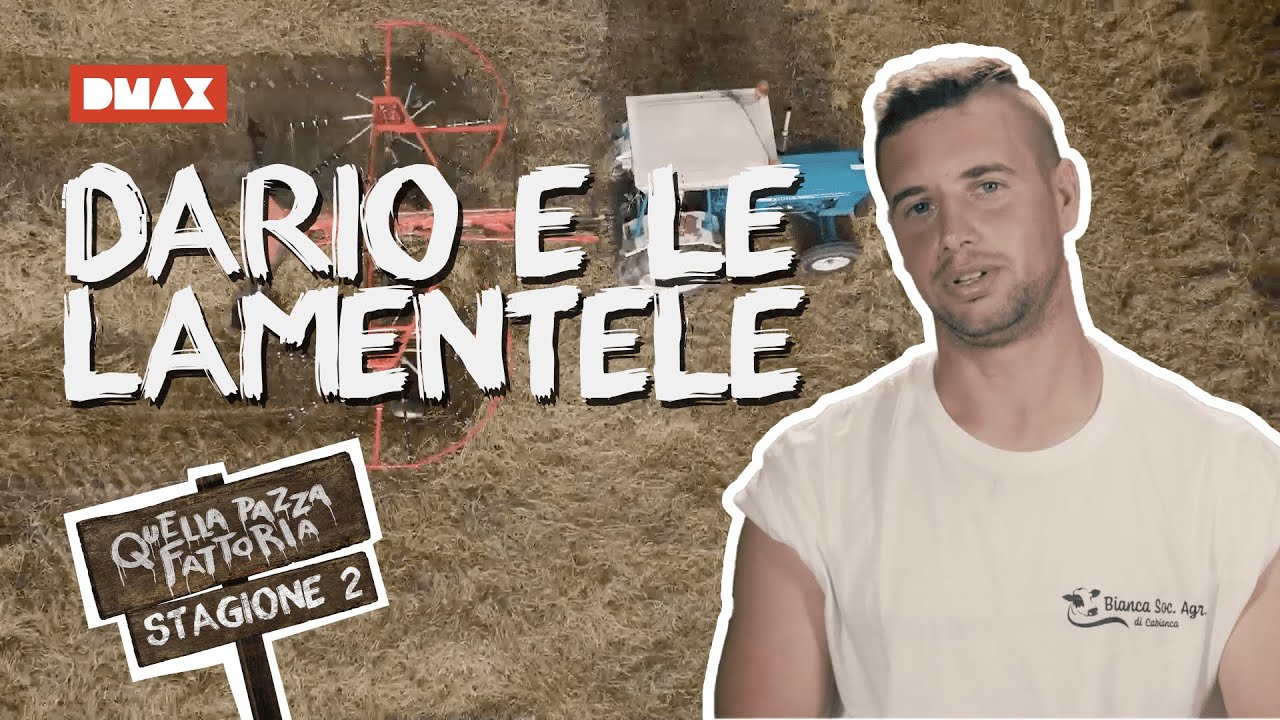 David e Dario sono sempre contenti di darsi una mano 😆😆 | Quella pazza fattoria 2
