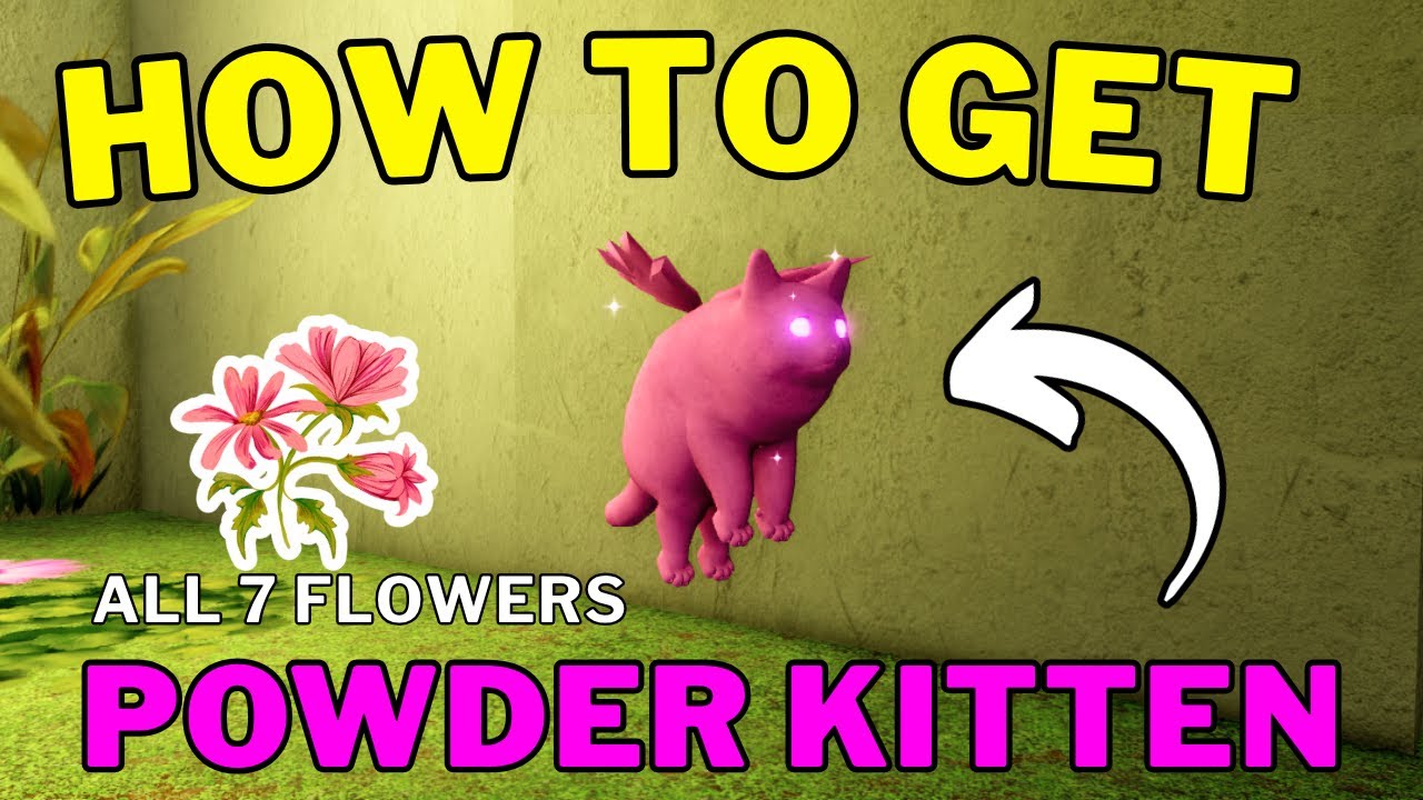 How To Get Powder Kitten in Kitten Game Roblox | All 7 Flowers Locations | Devotion Badge