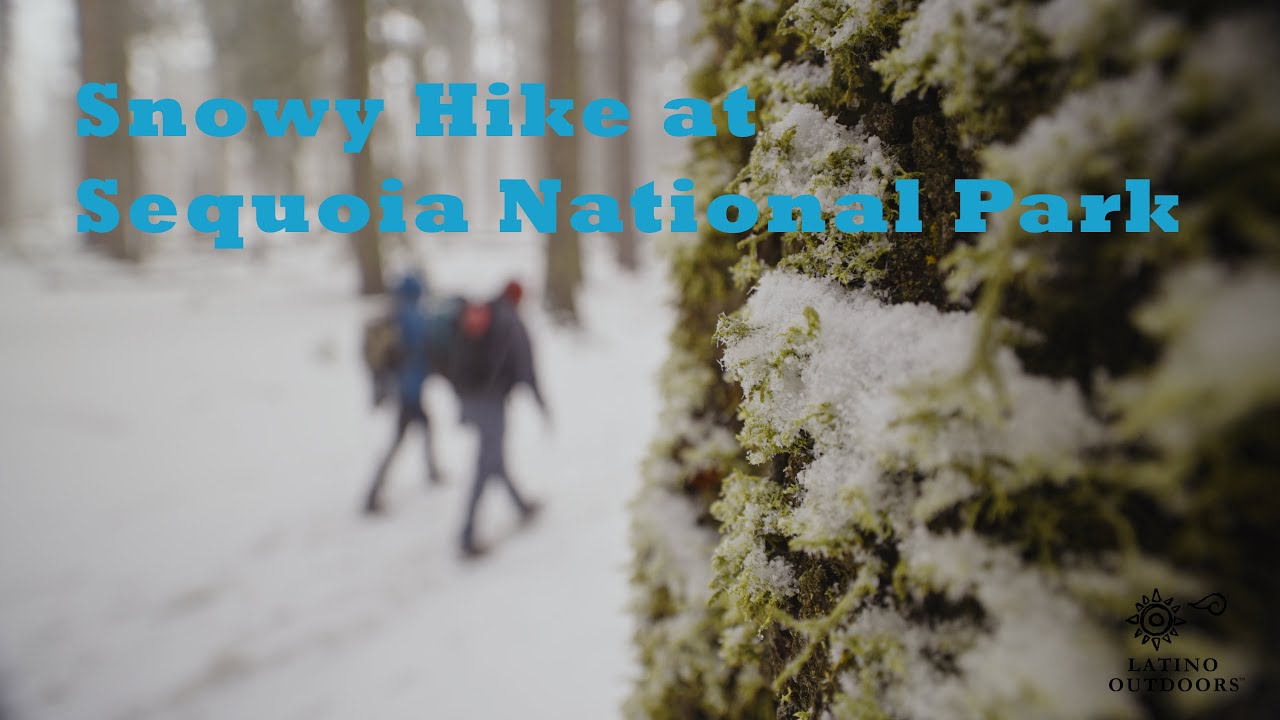 Snowy Hike at Sequoia National Park