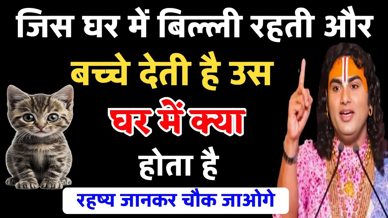 जिस घर में बिल्ली रहती है और बच्चे देती है, उस घर का क्या होता है? सच जानकर हैरान रह जाओगे