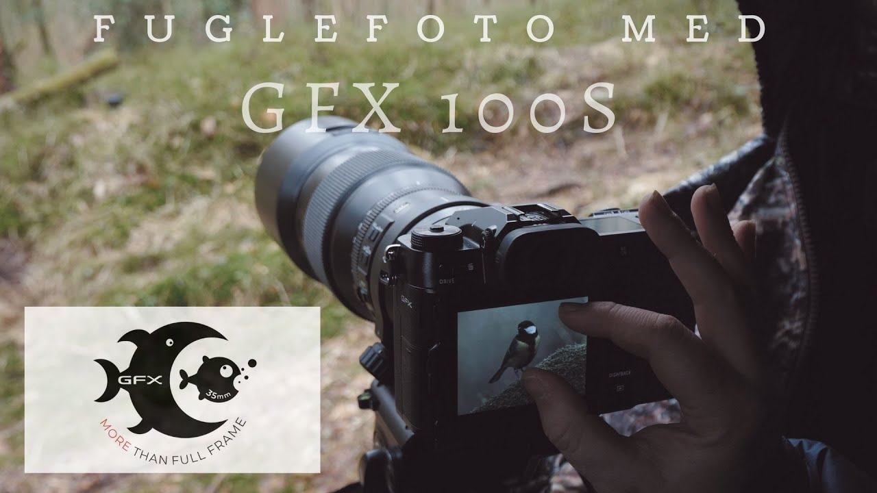 Naturfoto med Fujifilm GFX 100S // Fuglefotografering med Trond Westby