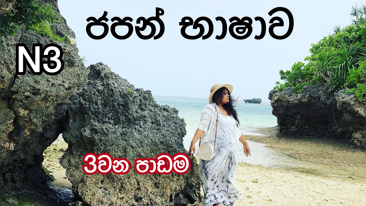 ජපන් ව්‍යාකරණ/කන්ජි N3 3වන පාඩම | JLPT N3 Grammar/Kanji lesson 3