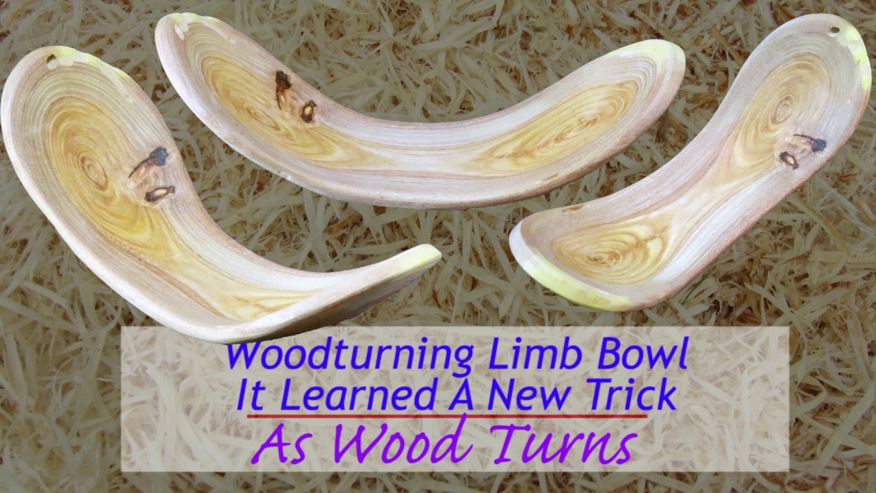 Woodturning Limb Bowl   It Learned A New Trick