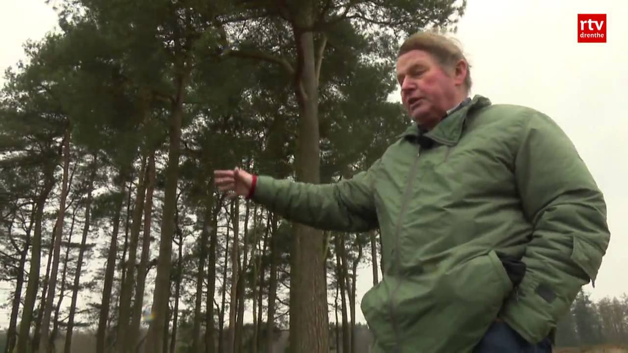 Onderduikershol Anloo wordt weer zichtbaar