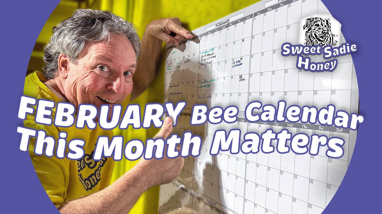 Календарь пчеловодческих работ на февраль: Подготовка к бурному весеннему сезону