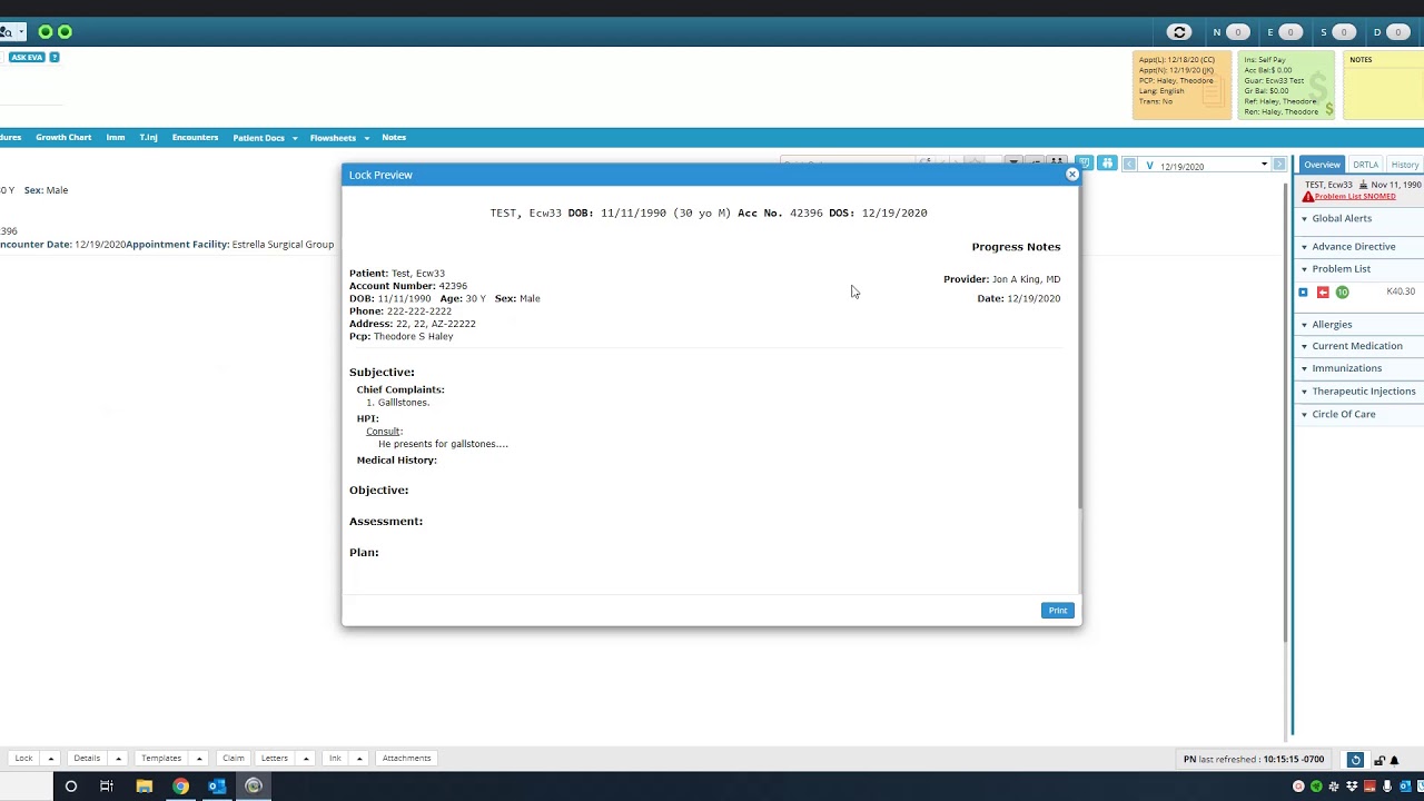Provider Progress note and templates (Browser v11e)