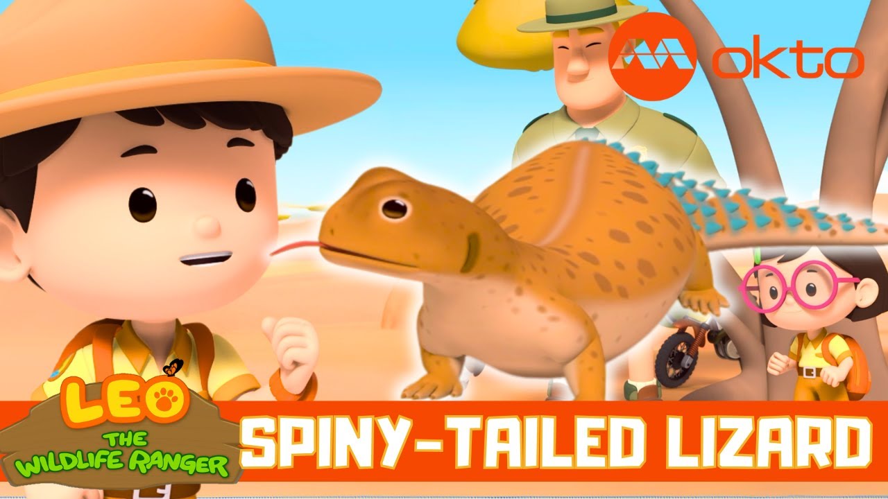 Helping SPINY-TAILED LIZARDS Enjoy Sun 🦎🌞🌿| Leo the Wildlife Ranger Spinoff S6E08 | @mediacorpokto