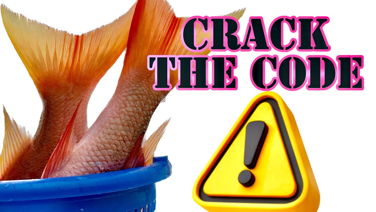 How To Catch Mutton Snapper:  BEST Mutton Snapper Rig