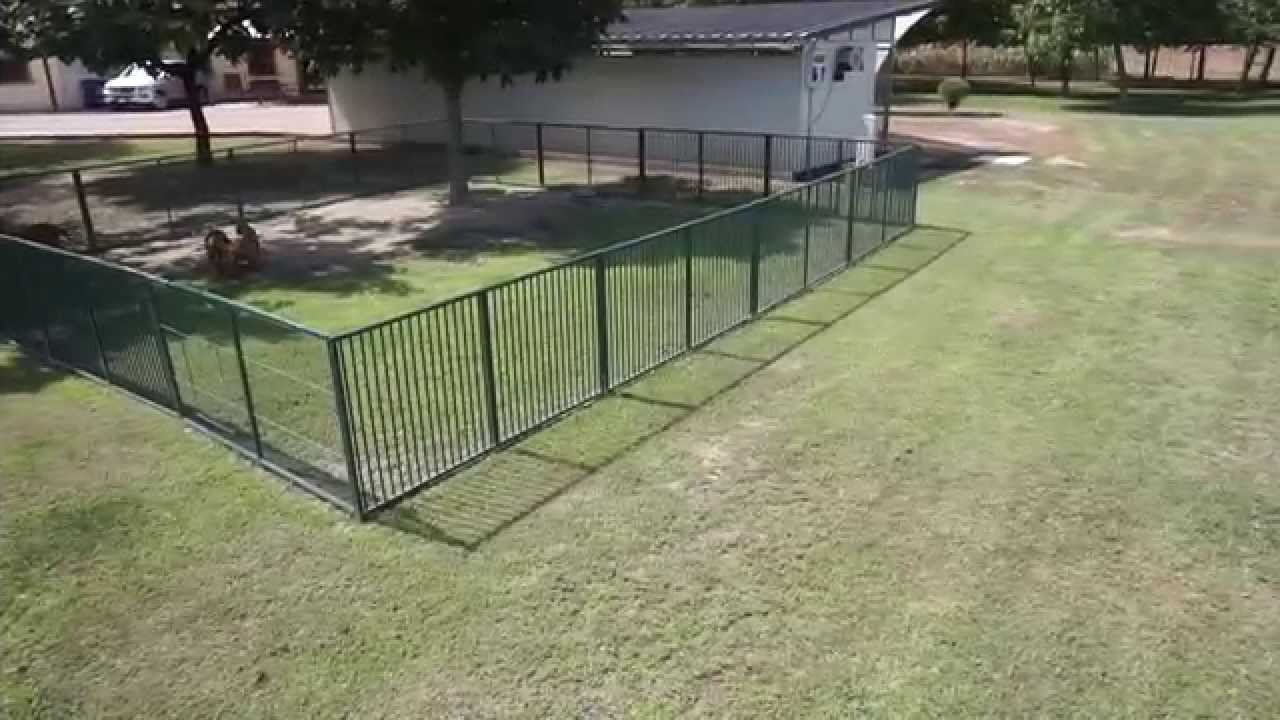Allevamento VIZSLA 