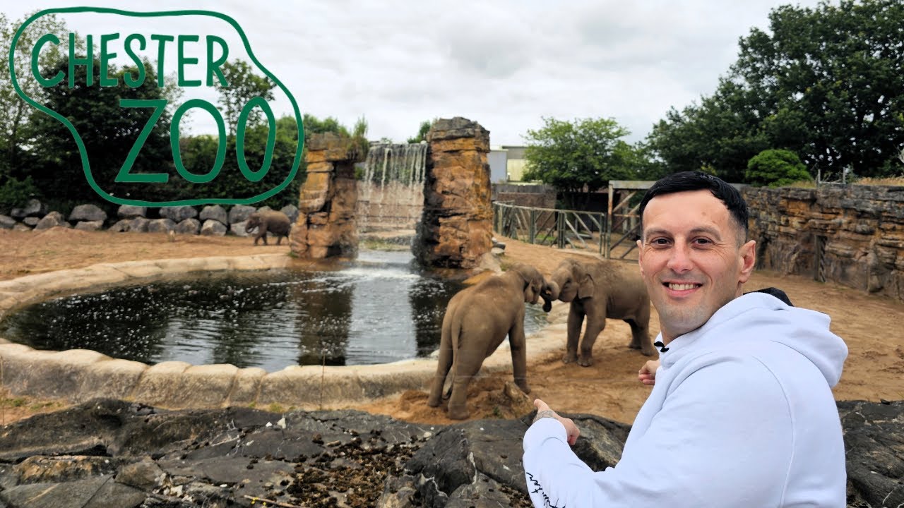 Is Chester Zoo THE BEST Zoo In The UK?