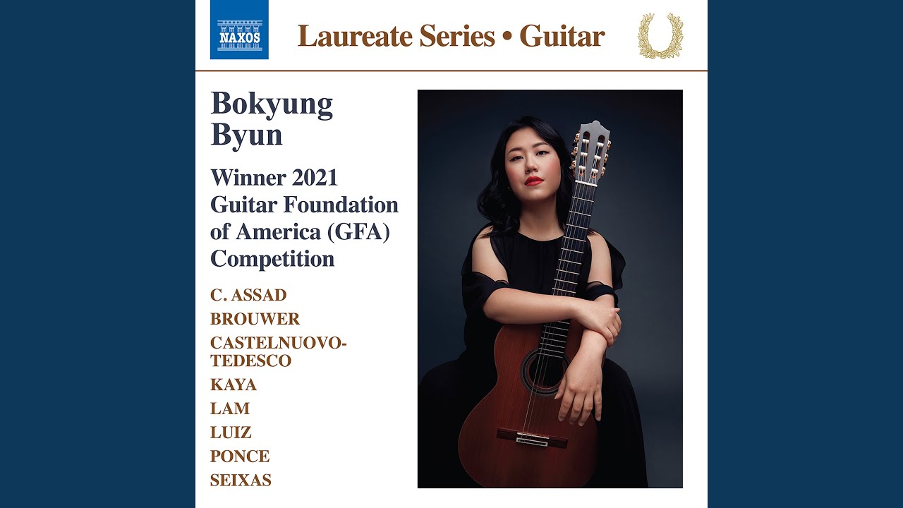 Guitar Sonata No. 1 in D Major: II. Andante espressivo