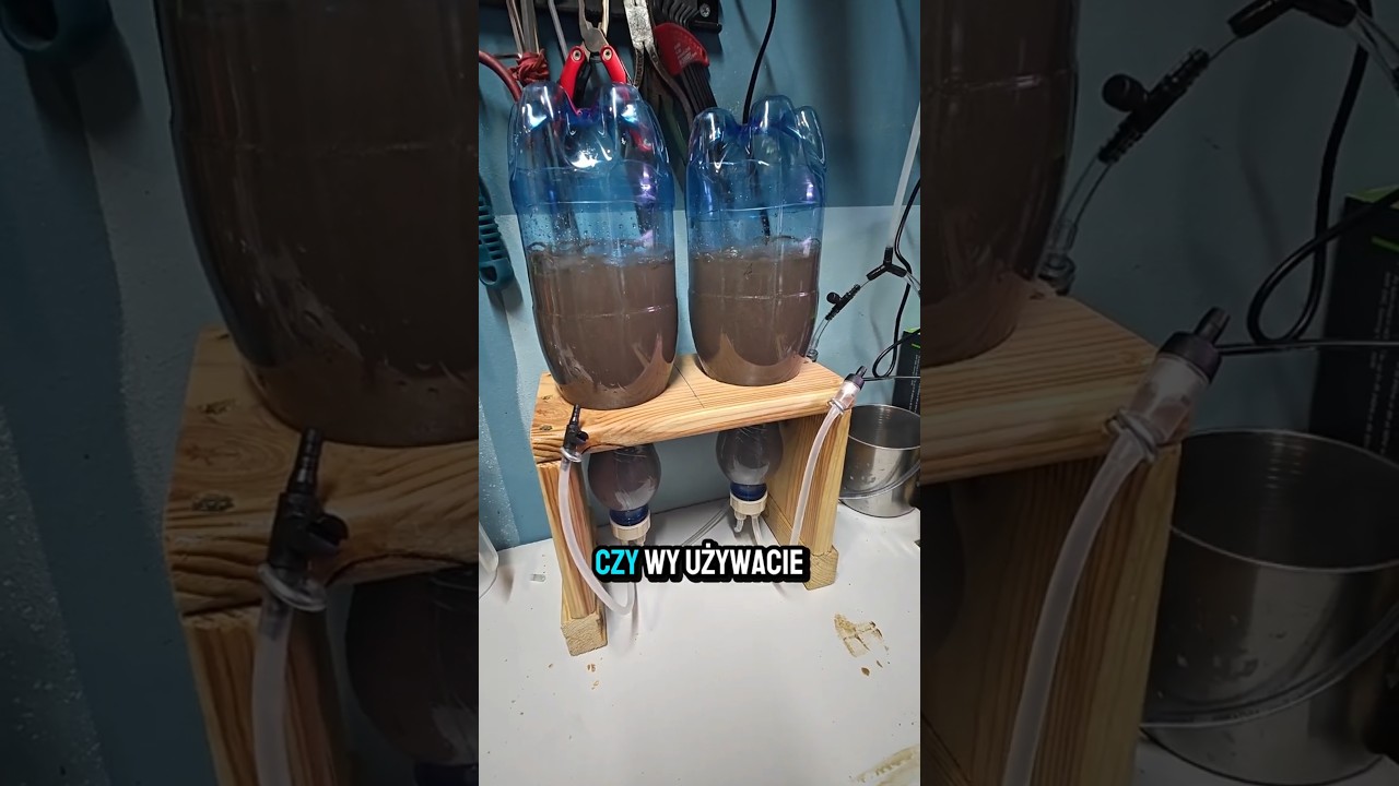 Hodowla Artemi , por&oacute;wnamy :) #akwarystyka #akwarium #aquarium #artemia #diy #hobby